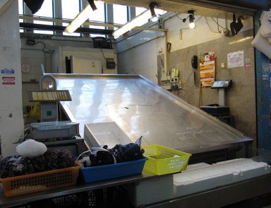 laboratorio-ittico1
